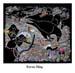 Raven Bling 72dpi
