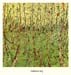 fox-reliance-bog